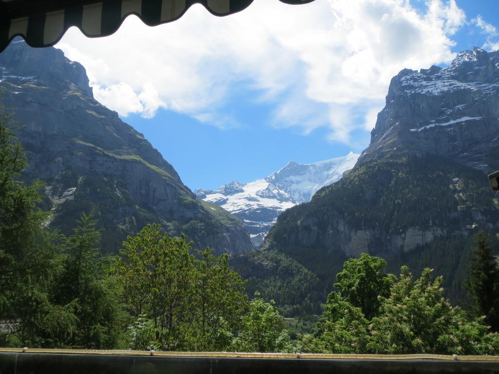 Bernerhof Residence Grindelwald Bilik gambar