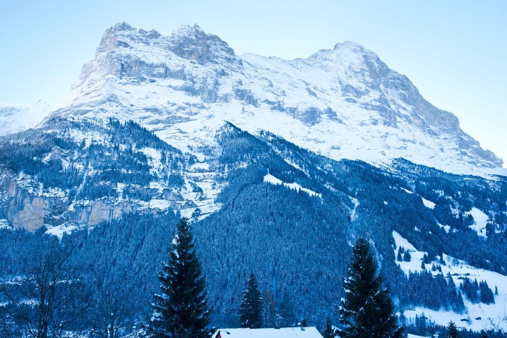 Bernerhof Residence Grindelwald Luaran gambar